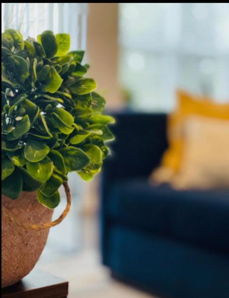 Evie'S Campus-Close 2 Bedroom Luxury 奧克拉荷馬 外观 照片